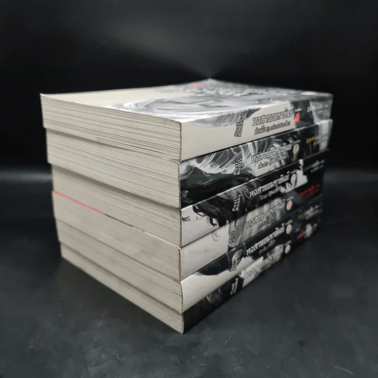 หงสาจอมราชันย์ ภาคพิเศษ เล่ม 1-6 - Wang Yi Xing (หวังอี๋ซิง) รูปที่ 4