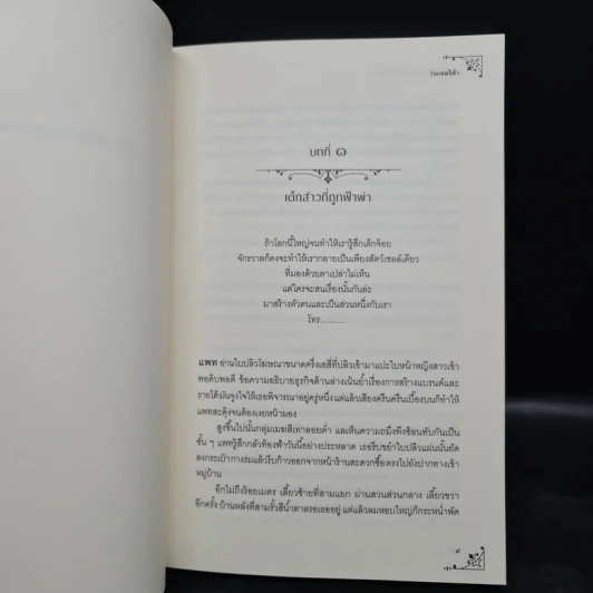 เดริก้า 2 เล่มจบ (ศึกบัลลังก์แห่งปอโต + ตำนานมหายุทธ์จอมปีศาจ) - Tenยอริต้า รูปที่ 6