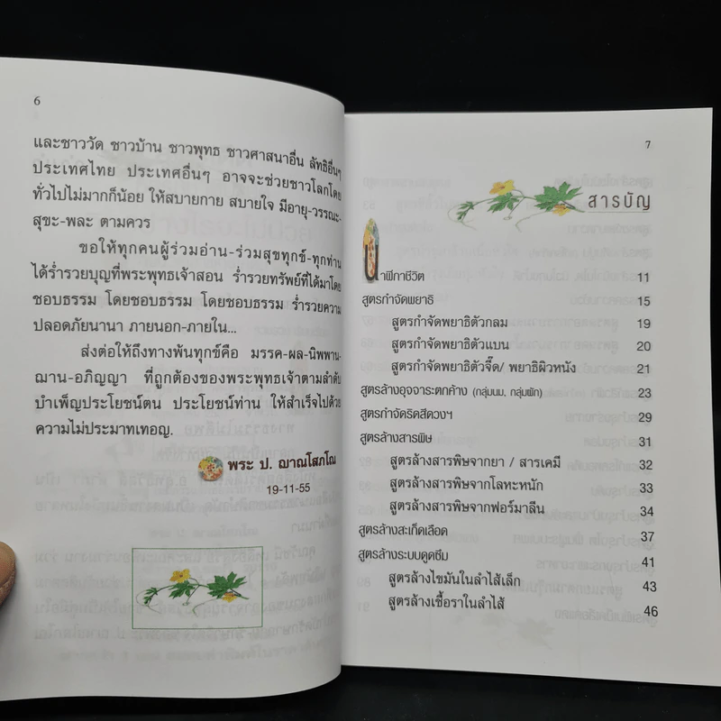 กินอย่างไรจะไม่ป่วย สูตรเด็ดธรรมชาติบำบัด - อ.สุทธิวัสส์ คำภา รูปที่ 6