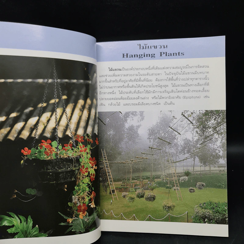 คู่มือคนรักต้นไม้ ไม้แขวน - อฤชร พงษ์ไสว รูปที่ 6