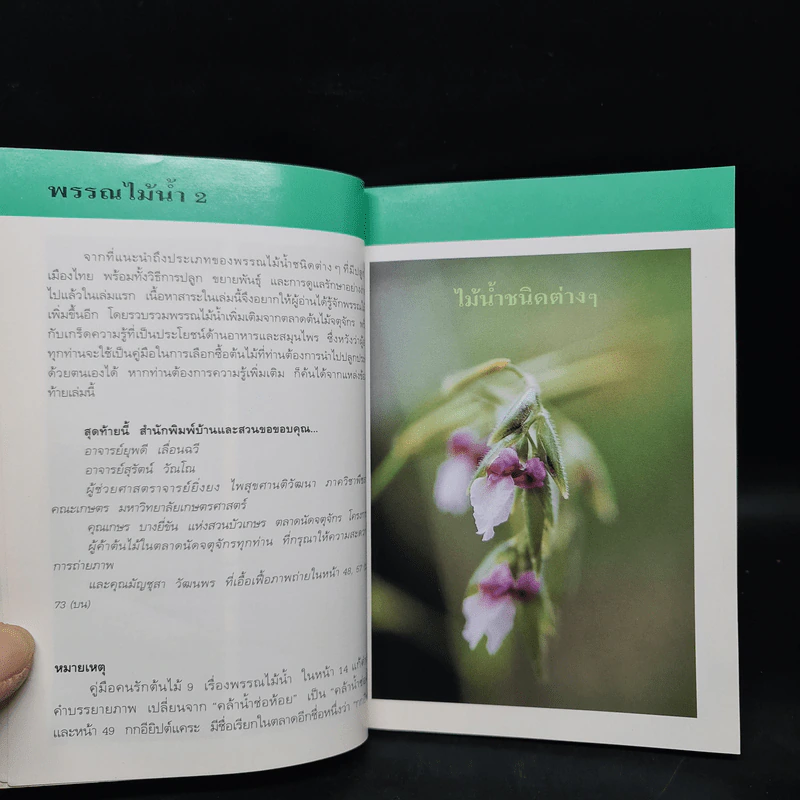 คู่มือคนรักต้นไม้ พรรณไม้น้ำ เล่ม 2 - อุไร จิรมงคลการ รูปที่ 6