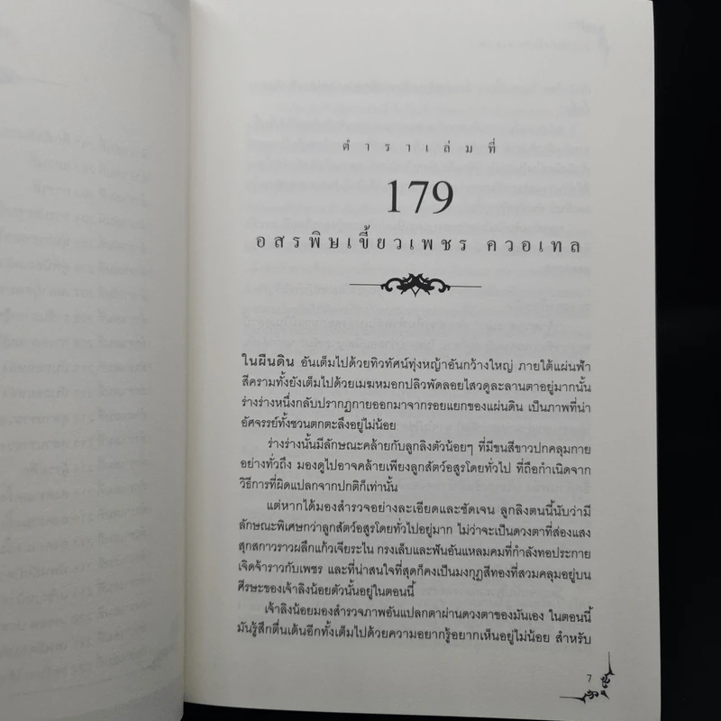 Box Set โลกเวทมนตร์ ของคาออส 5 เล่มจบ - Grimmix รูปที่ 10