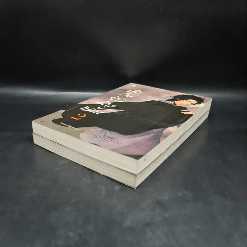นักรับจ้างล้างแค้น เล่ม 1-2 รูปที่ 4