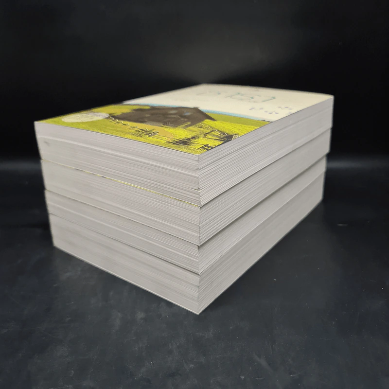 นิยายชุด บ้านไร่ปลายฝัน 4 เล่ม ได้แก่ ธาราหิมาลัย, ดวงใจอัคนี, ปฐพีเล่ห์รัก, วายุภัคมนตรา รูปที่ 3