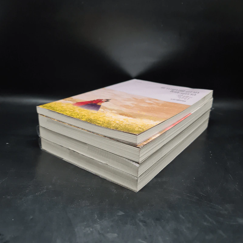 พานพบฝ่าบาทในห้วงกาล 3 เล่มจบ + เล่มพิเศษ - EUODIA รูปที่ 3