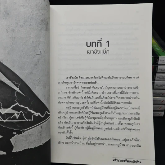 ตำนานราชันแห่งผู้กล้า 9 เล่มจบ - อูกัก, บุปผาหิมะ รูปที่ 6