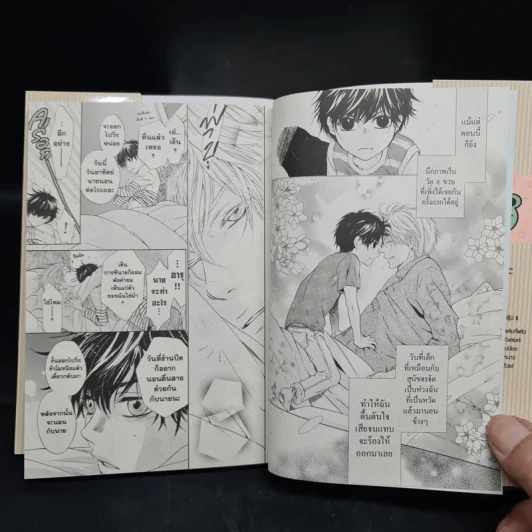 SUPER LOVERS สุดที่รัก เล่ม 1-9 รูปที่ 7