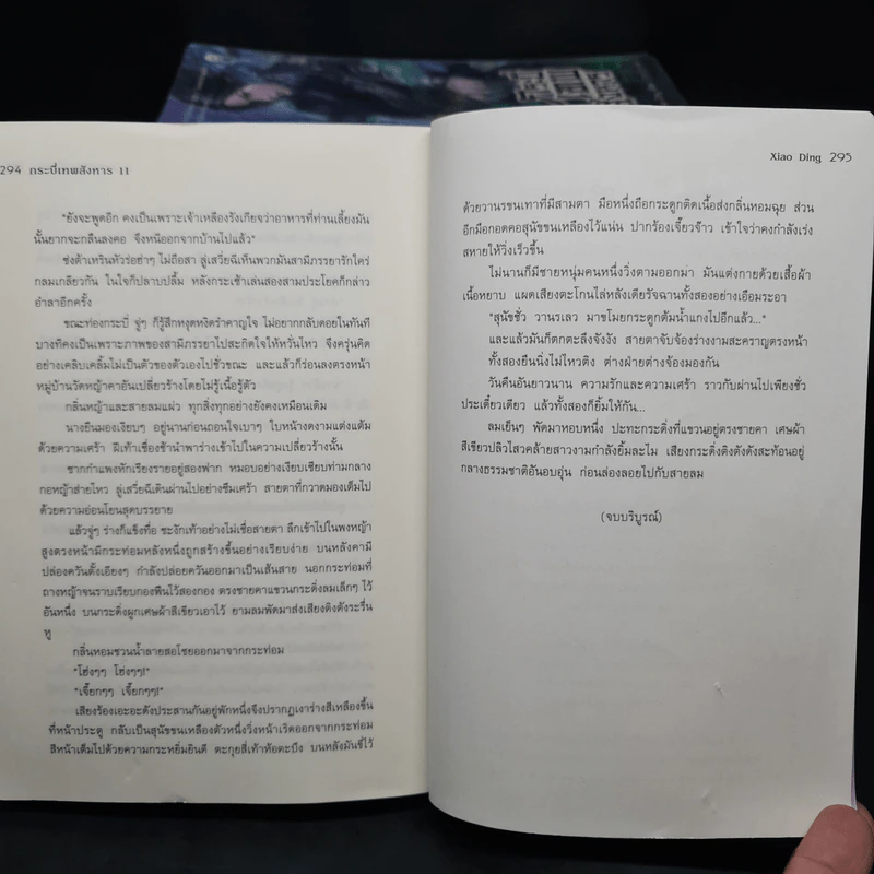 กระบี่เทพสังหาร 11 เล่มจบ - Xiao Ding รูปที่ 7