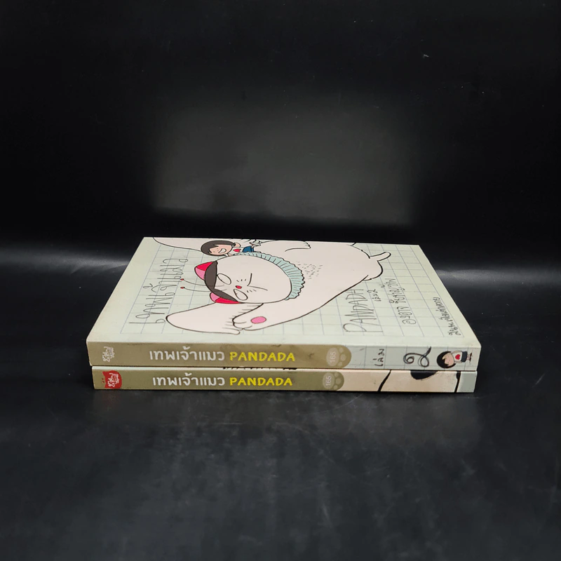 เทพเจ้าแมว Pandada เล่ม 1-2 - องอาจ ชัยชาญชีพ รูปที่ 3