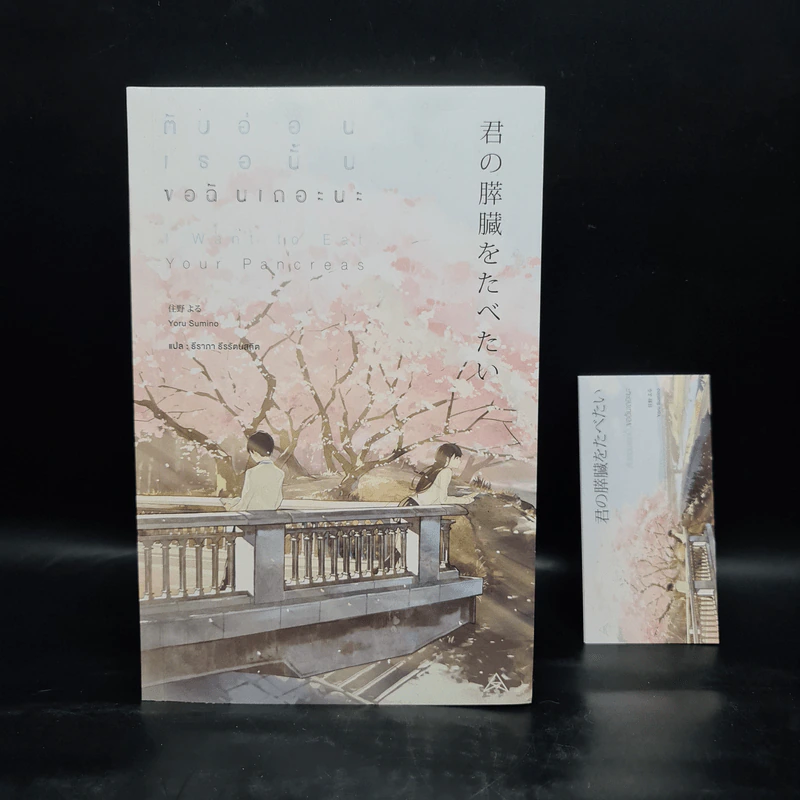 ตับอ่อนเธอนั้นขอฉันเถอะนะ : I Want to Eat Your Pancreas - Yoru Sumino (โยรุ ซูมิโนะ) รูปที่ 1