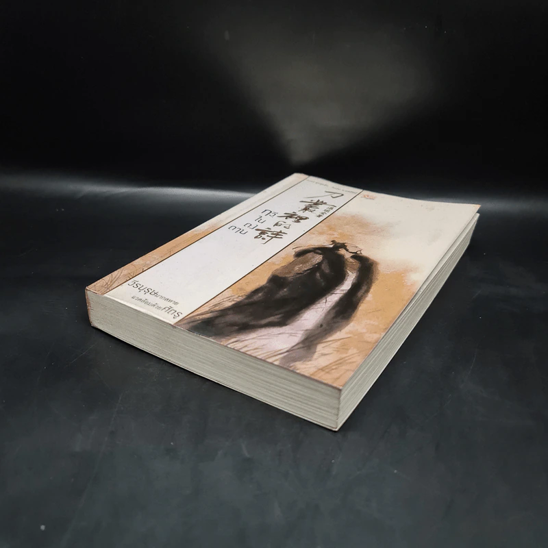 กวีในดงดาบ - อุนสุยอัน รูปที่ 4