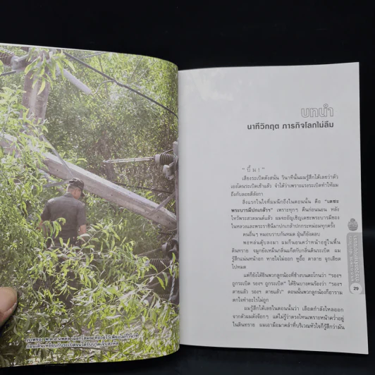 พล.ต.ต.นพดาล เผือกโสมณ ตำรวจกล้าแห่งบางนรา - บุญชัย ปัญจรัตนากร รูปที่ 8