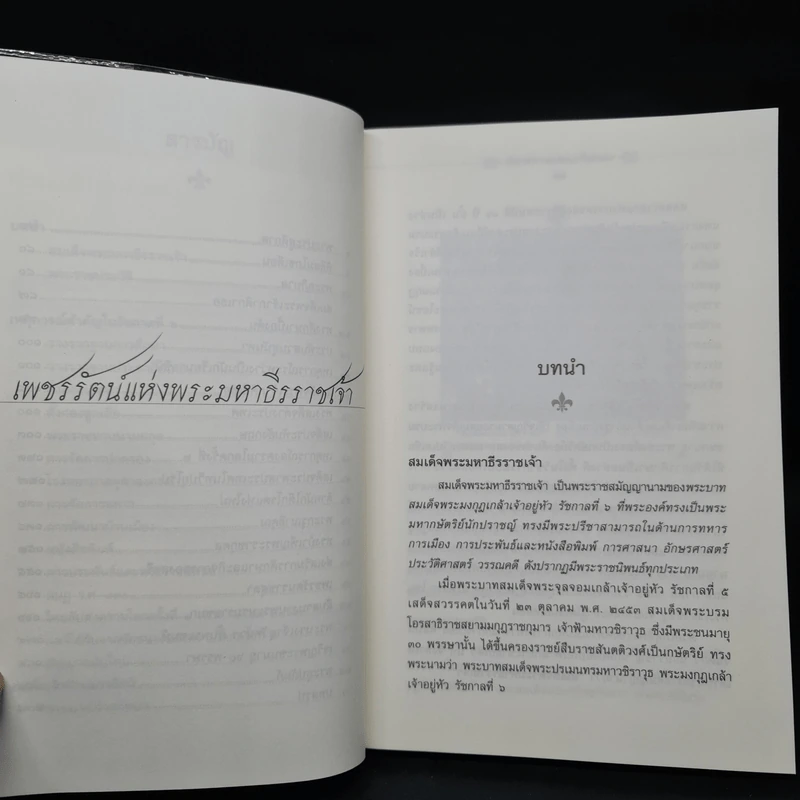 เพชรรัตน์แห่งพระมหาธีรราชเจ้า - พลาดิศัย สิทธิธัญกิจ รูปที่ 7