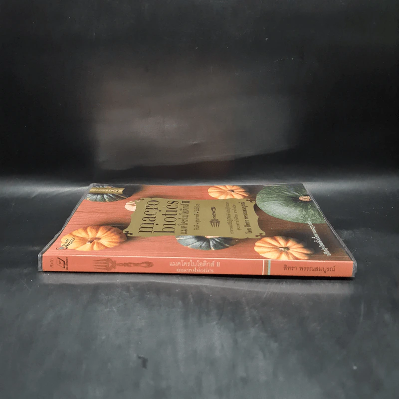 แมคโครไบโอติกส์ II Macro Biotics II - สิทรา พรรณสมบูรณ์ รูปที่ 3