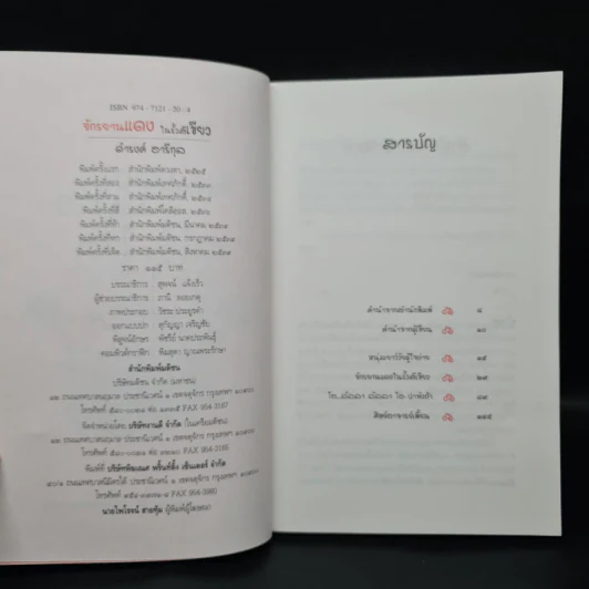 จักรยานแดงในรั้วสีเขียว - ดำรงค์ อารีกุล รูปที่ 5