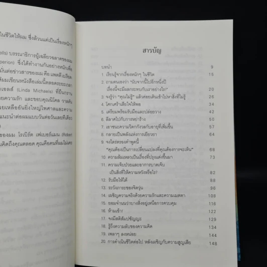 หายกลุ้มใจ - ริชาร์ด คอร์ลสัน รูปที่ 6