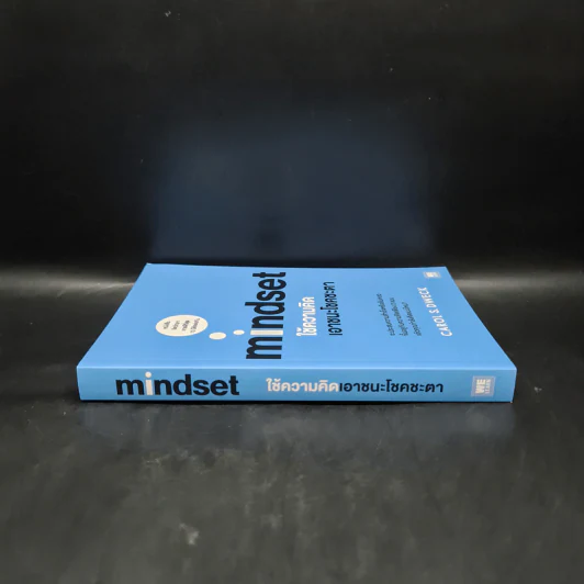 Mindset ใช้ความคิดเอาชนะโชคชะตา - Carol S.Dweck รูปที่ 3