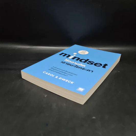 Mindset ใช้ความคิดเอาชนะโชคชะตา - Carol S.Dweck รูปที่ 4