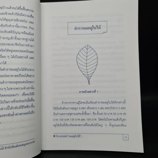 หมอดูใบไม้ - สัจจะ บารมี รูปที่ 7