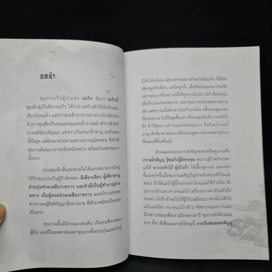 ซุนกวน หน้าเนื้อใจเสือ - โหราจารย์ รูปที่ 8
