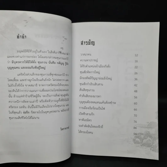 ซุนกวน หน้าเนื้อใจเสือ - โหราจารย์ รูปที่ 6