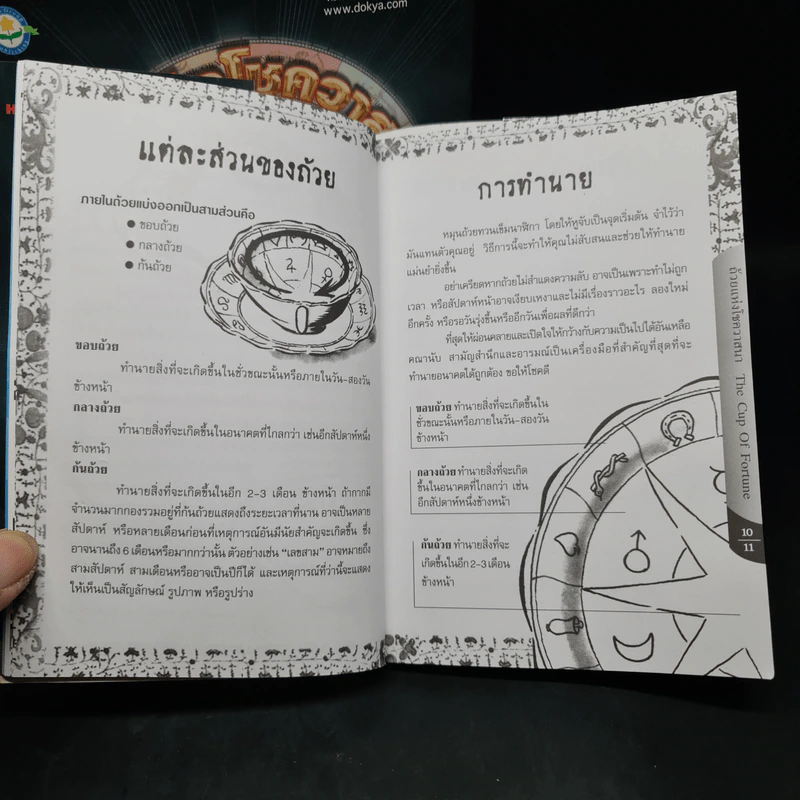 ถ้วยแห่งโชควาสนา : THE CUP OF FORTUNE - TASSEOGRAPHY รูปที่ 8