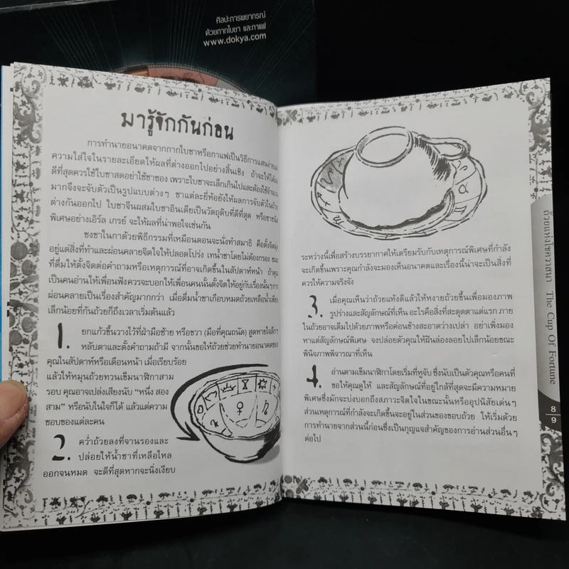 ถ้วยแห่งโชควาสนา : THE CUP OF FORTUNE - TASSEOGRAPHY รูปที่ 7