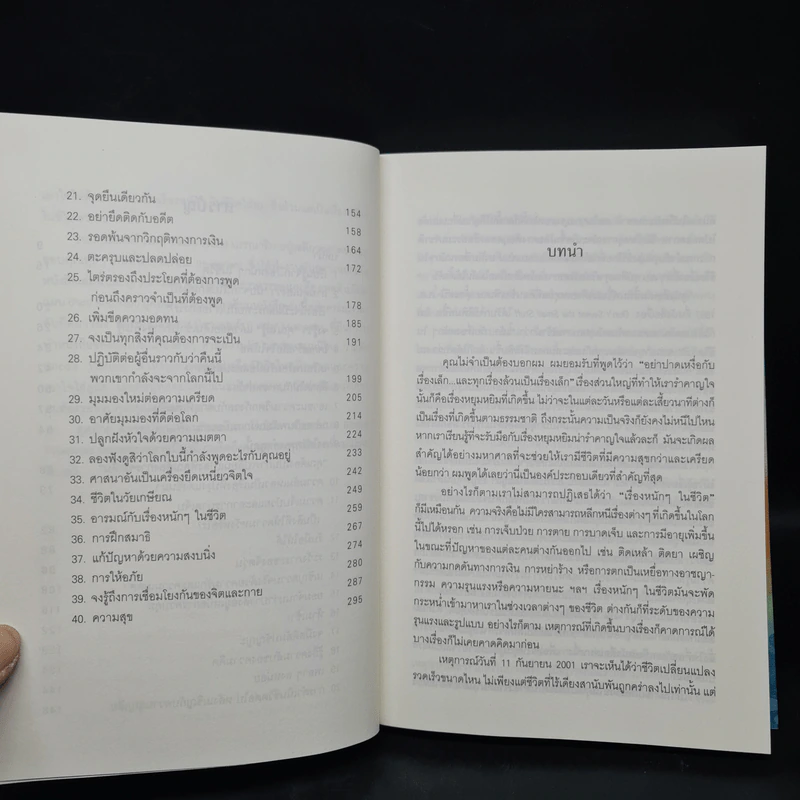 หายกลุ้มใจ - ริชาร์ด คอร์ลสัน รูปที่ 7