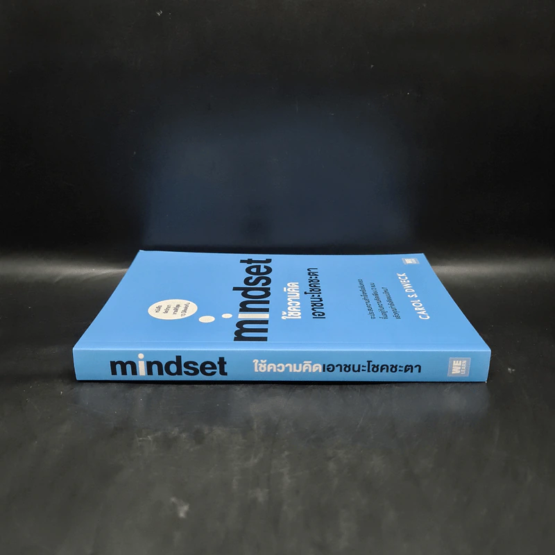 Mindset ใช้ความคิดเอาชนะโชคชะตา - Carol S.Dweck รูปที่ 3