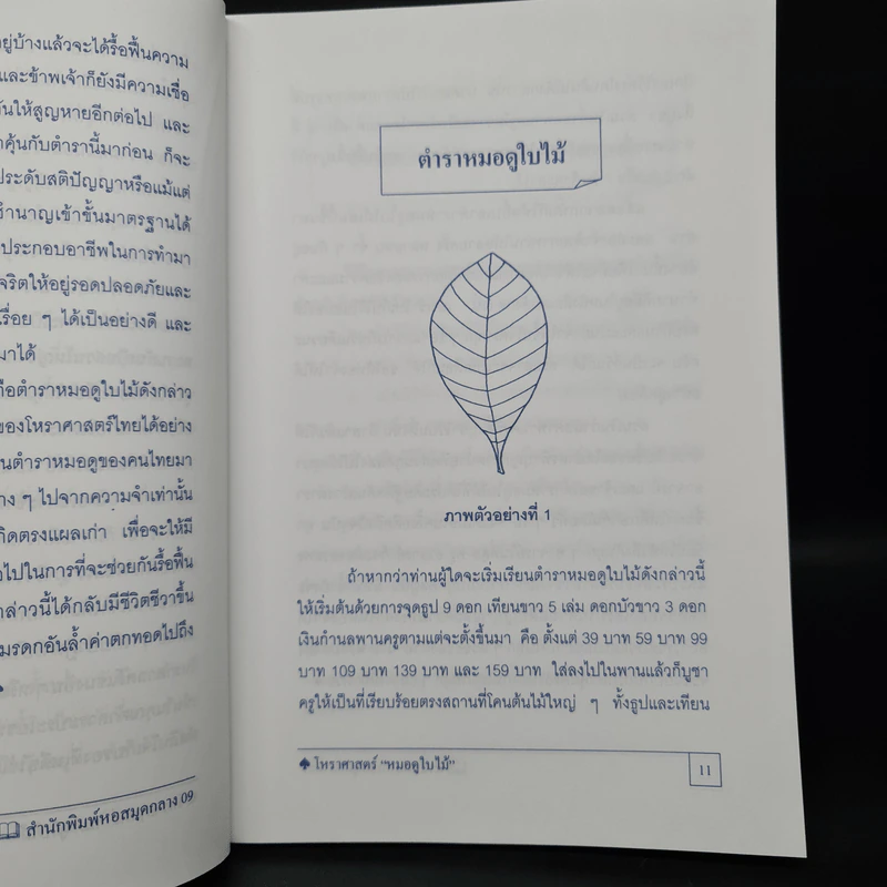 หมอดูใบไม้ - สัจจะ บารมี รูปที่ 7