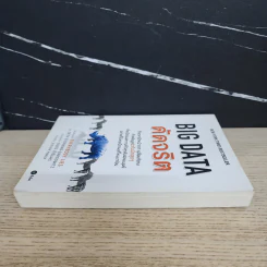 Big Data ดัดจริต - SETH STEPHENS-DAVIDOWITZ รูปที่ 3