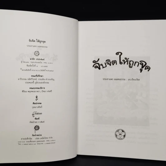 หนังสือ จับจิตให้ถูกจุด - ประสานพร มณฑลธรรม รูปที่ 5