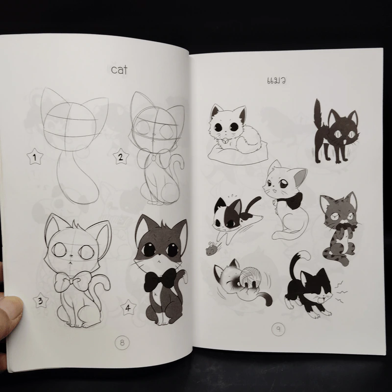 หัดวาดสัตว์บก สไตล์ฟรุ้งฟริ้ง - แมวดาว รูปที่ 7