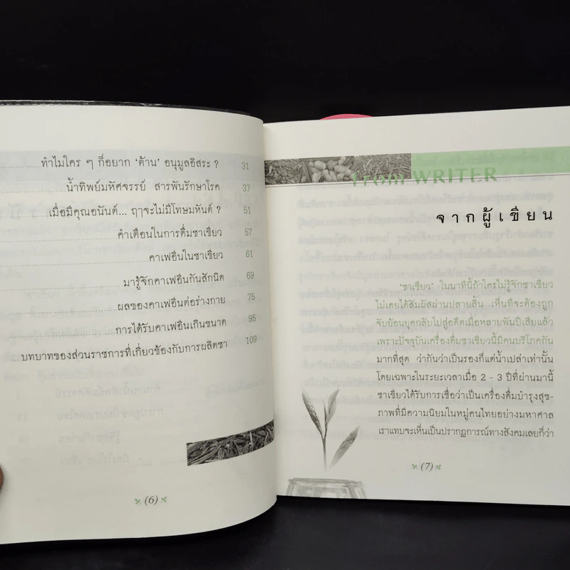 ชาเขียว น้ำผึ้งหรือยาพิษ - วัฒน์ระวี รูปที่ 7