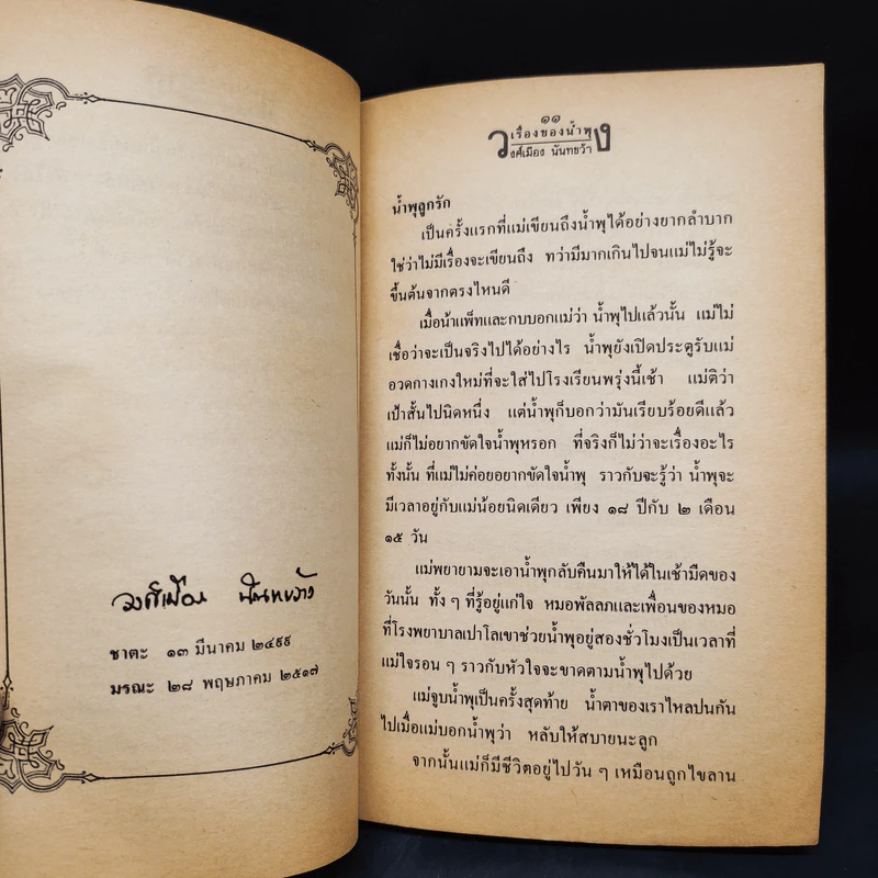 เรื่องของน้ำพุ - วงศ์เมือง นันทขว้าง รูปที่ 6