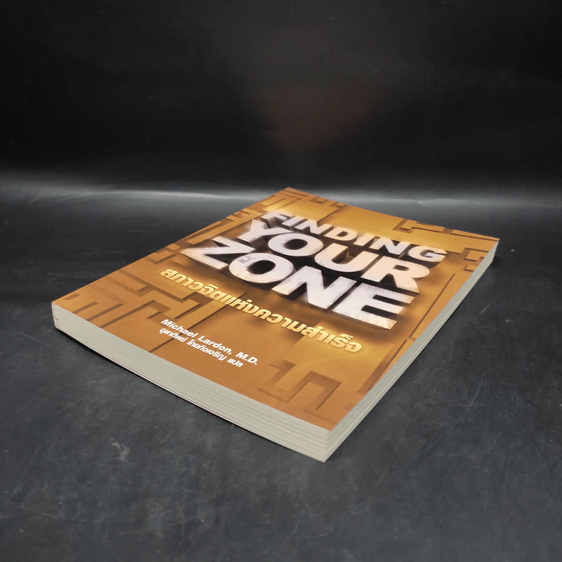 Finding Your Zone สภาวจิตแห่งความสำเร็จ - Michael Lardon,M.D. รูปที่ 4