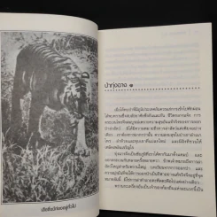 ป่าทุ่งฉาง - ชาลี เอี่ยมกระสินธุ์ รูปที่ 7