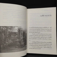 คนกับต้นไม้ - วัธนา บุญยัง รูปที่ 6
