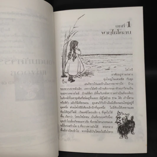 พ่อมดมหัศจรรย์แห่งออซ The Wonderful Wizard of OZ - แฟรงก์ โบม รูปที่ 8