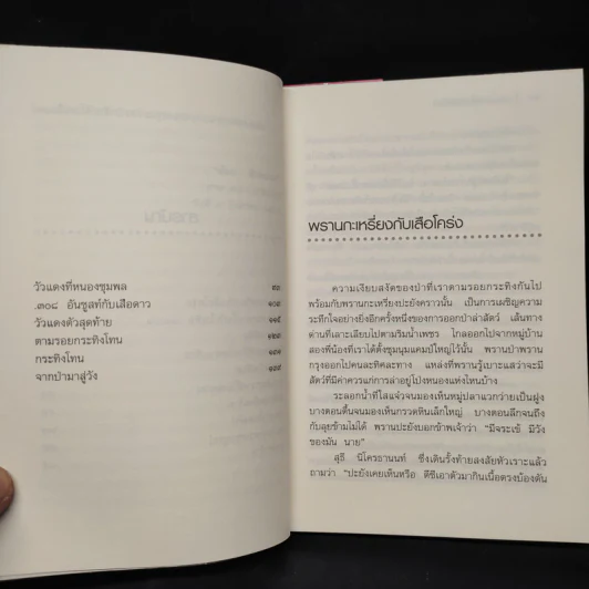 ผจญภัยในป่าสูง - ชาลี เอี่ยมกระสินธุ์ รูปที่ 7