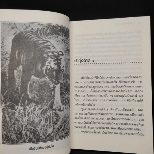 ป่าทุ่งฉาง - ชาลี เอี่ยมกระสินธุ์ รูปที่ 7
