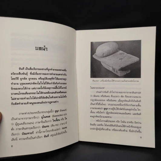 รู้ลึกเบื้องหลังขันทีบุรุษผู้ไร้เพศ - หลี่ไป่ใส รูปที่ 7