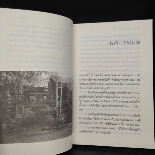 คนกับต้นไม้ - วัธนา บุญยัง รูปที่ 6