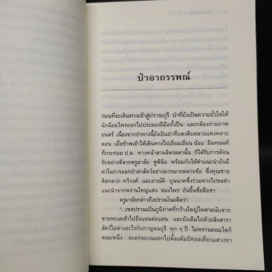 ป่าอาถรรพณ์ - ชาลี เอี่ยมกระสินธุ์ รูปที่ 6
