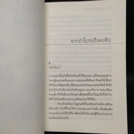 จากป่าโปร่งถึงดงดิบ - วัธนา บุญยัง รูปที่ 6