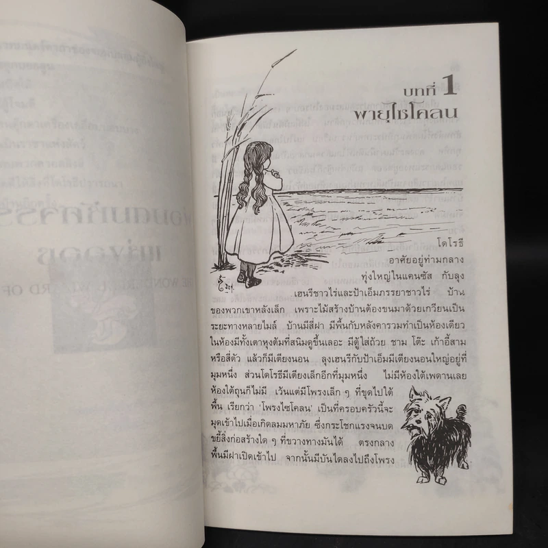พ่อมดมหัศจรรย์แห่งออซ The Wonderful Wizard of OZ - แฟรงก์ โบม รูปที่ 8