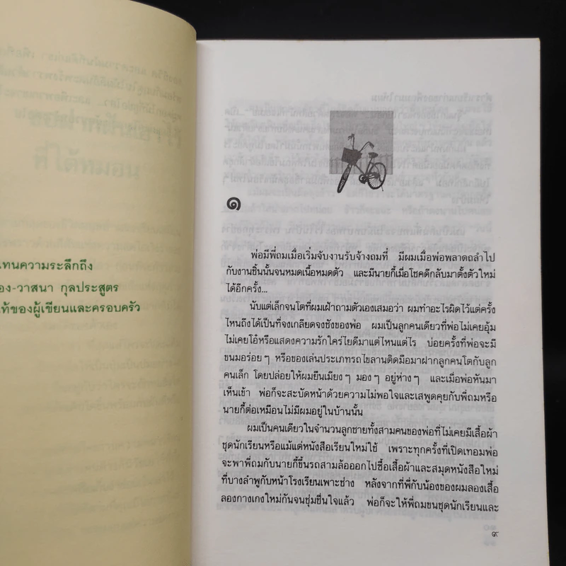 ขอหมอนใบนั้นที่เธอฝันยามหนุน - ประภัสสร เสวิกุล รูปที่ 6