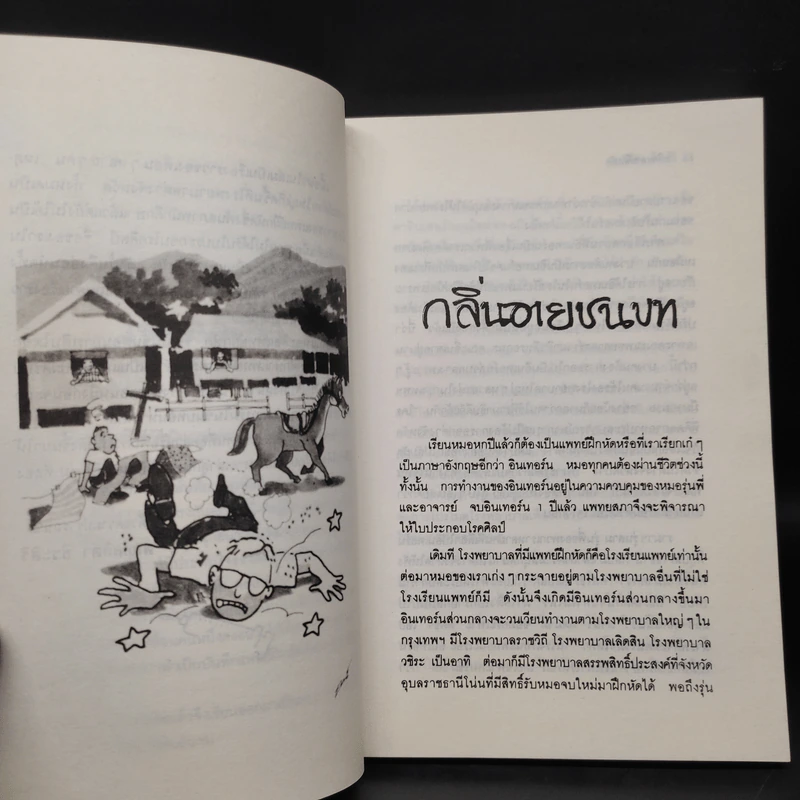 บันทึกแพทย์ฝึกหัด - พญ. ลลิตา ธีระสิริ รูปที่ 6