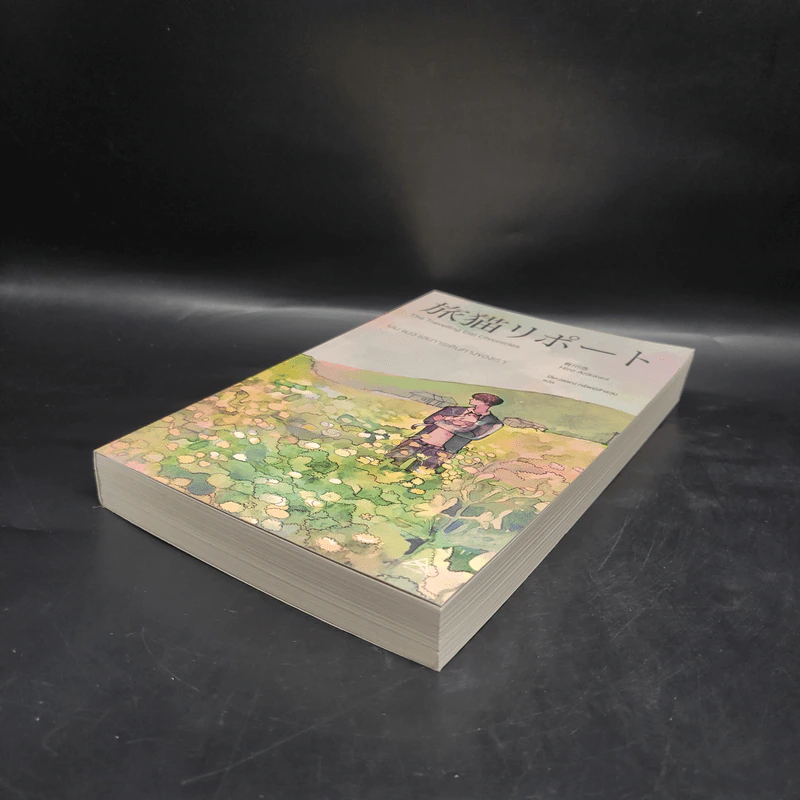 ผม แมว และการเดินทางของเรา The Travelling Cat Chronicles - ฮิโระ อาริคาว่า รูปที่ 4