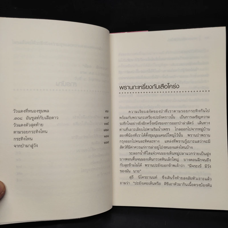 ผจญภัยในป่าสูง - ชาลี เอี่ยมกระสินธุ์ รูปที่ 7